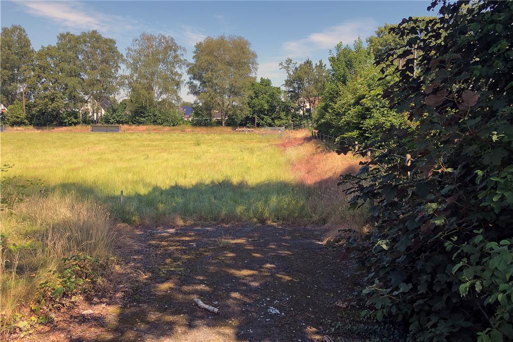 Auf dem Sportplatz „Im Rauhen Holz“ entsteht ein Wohnquartier - Anwohner sind verunsichert So zugewuchert und verwildert ist der Sportplatz mittlerweile. Dass die angrenzenden Hecken nicht mehr geschnitten werden, nervt die direkten Anwohner. Die Lokalpolitik will sich kümmern.