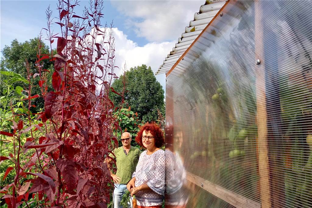 Der Garten zum Austoben und Entspannen: „Hier finden wir Ausgleich“ Sogar ein Gewächshaus (r) gibt es in diesem Gartenparadies.