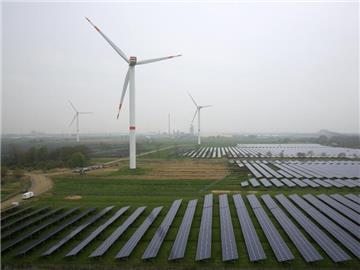 Solaranlage und Windräder im schleswig-holsteinischen Büttel: 2015 geht für erneuerbare Energien in Deutschland als ein Jahr der Ernüchterung in die Geschichte ein. Foto: Christian Charisius/Archiv