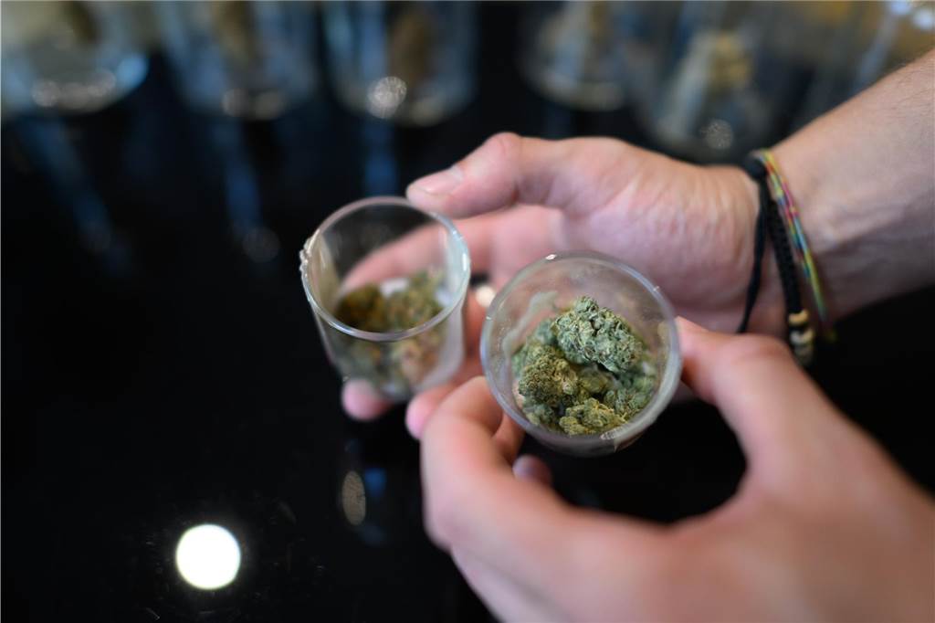 CBD-Shop in Dortmund schließt nach vier Jahren Solche CBD-Blüten waren unter anderem in dem Dortmunder Geschäft erhältlich. Der Verkauf der nicht-psychoaktiven Substanz in dieser Form ist nach dem Betäubungsmittelgesetz eine Straftat.