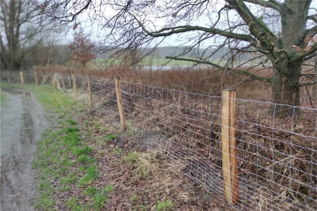 200 Schafe stimmen für eine bessere Beschilderung am Lanstroper See Solche Zäune wünscht sich Matthias Hüppe entlang der Streuobstwiesen an der Deininghauser Straße.