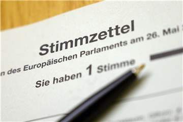 Sollte die Europawahl eine eigenständige Wahl bleiben oder besser wieder mit anderen Wahlen gekoppelt werden? Das sagen Castrop-Rauxels Politiker dazu.