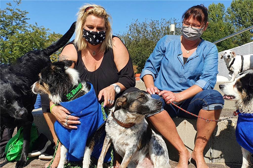 Mit vielen Fotos: Hunderte Hunde erobern das Aquahaus wie im Sturm Sonja (l.) und Sabina waren mit ihren Hunden Zero, Danger und Mila zum ersten Mal beim Aqua-Dog-Event in Ahaus und begeistert.