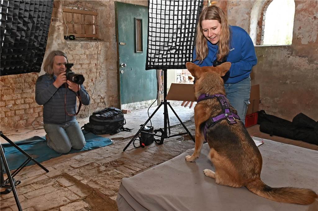 Hunde als Friedensbotschafter nahmen 1500 Euro ein Fotograf Mike Hecke (li.) lichtete die tierischen Botschafter auf dem Hof von Sonja Reisner (r.) ab.