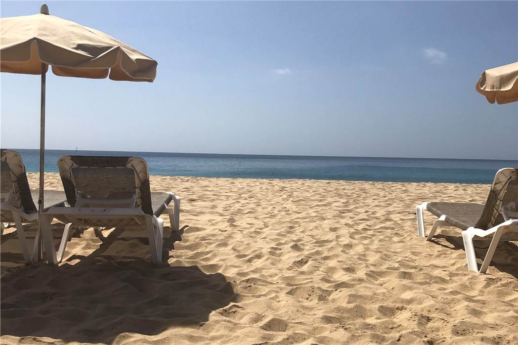 Ab nach Mallorca? Zusatzflieger starten auch von Dortmund aus Sonne, Strand und Liege - Urlaubsherz, was willst du mehr?
