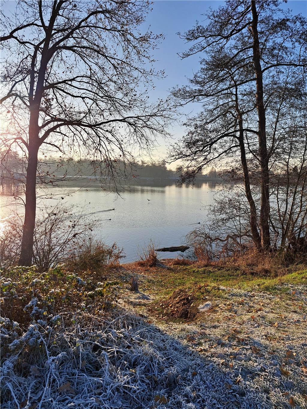 Sonnige Stimmung am Ternscher See in Selm.