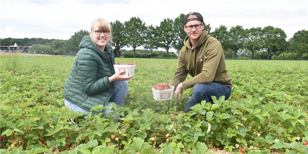 Diskussionen um Erdbeer-Ernte: Gutes Wetter hilft vor Start in Werne Mann und Frau mit Erdbeeren