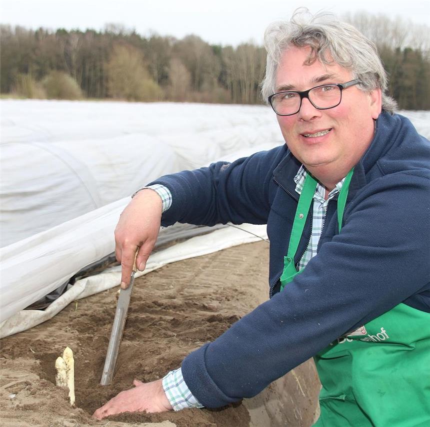 Spargelbauer Bernhard Böckenhoff freut sich, denn bis jetzt wächst der Spargel super und die Ernte ist hervorragend.