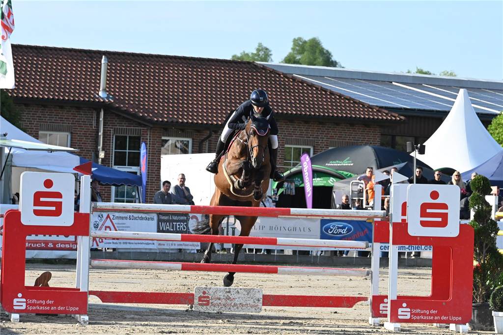 Ein Reiter springt mit einem Pferd über einen Sprung.