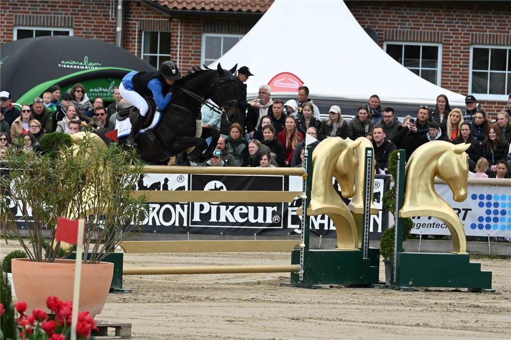 Ein Reiter springt mit einem Pferd über einen Sprung.