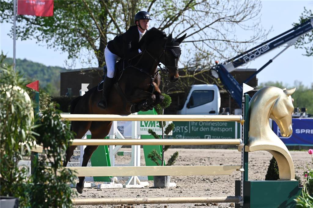 Ein Reiter springt mit einem Pferd über einen Sprung.