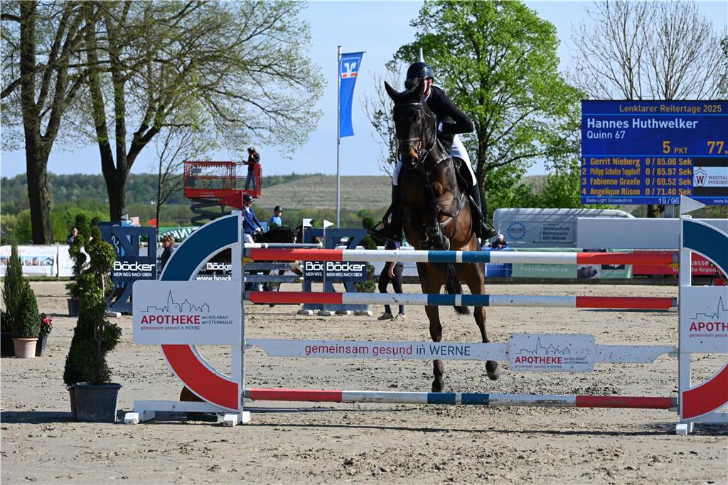 Ein Reiter springt mit einem Pferd über einen Sprung.
