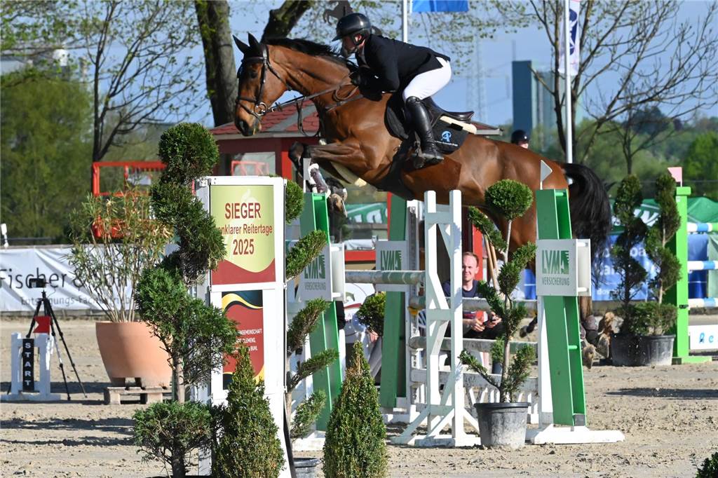 Ein Reiter springt mit einem Pferd über einen Sprung.