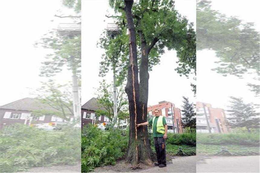 Unwetter in Lünen: Viele Einsätze für die Feuerwehr Spektakuläre Risse hat der Blitz in einem Baum in Lünen hinterlassen.