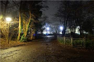 Sportler und Spaziergänger müssen am Cappenberger See nicht länger im Dunkeln über die Wege tappen.
