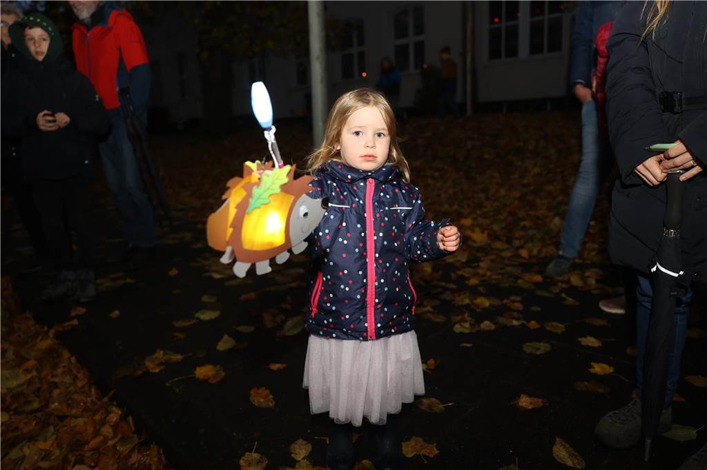 St. Martin zieht mit Familien durch Bork: Viele Bilder vom bunten Laternenzug St. Martin zog am Sonntag (5. November) durch Bork. Viele Kinder waren mit ihren bunten Laternen dabei und strahlten mit ihnen um die Wette.