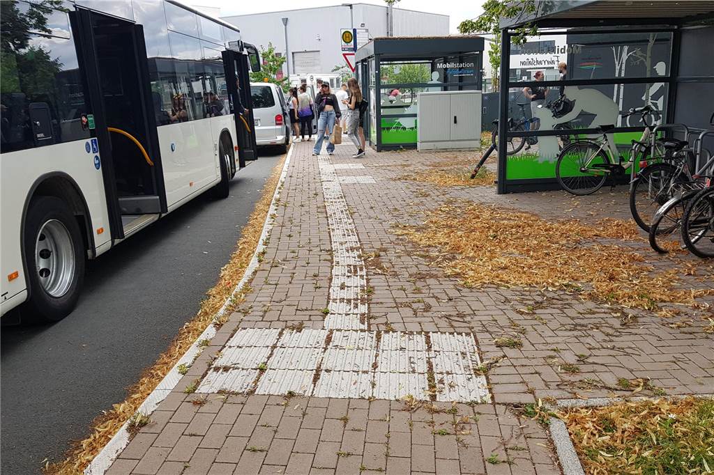 R53 soll auch am Wochenende als Linienbus fahren Bus Bushaltestelle Selm Nordkirchen Lüdinghausen