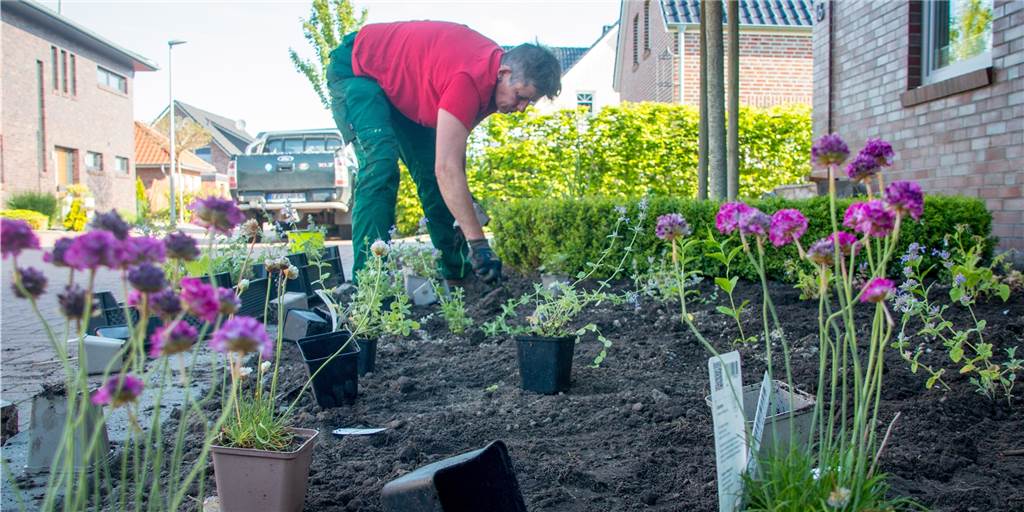 Castrop-Rauxels Politik will keine Gartenpolizei gegen Schottergärten Statt grauer Schotterwüsten wünschen sich auch Castrop-Rauxels Politiker bunt blühende Vorgärten. Eine Gartenpolizei möchte sie Menschen, die auf Schotter setzen, aber nicht in den Garten schicken.