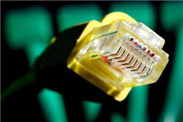Stecker eines Netzwerkkabels. Die Bundesregierung will sich künftig von einem „Digitalrat“ beraten lassen. Foto: Martin Gerten