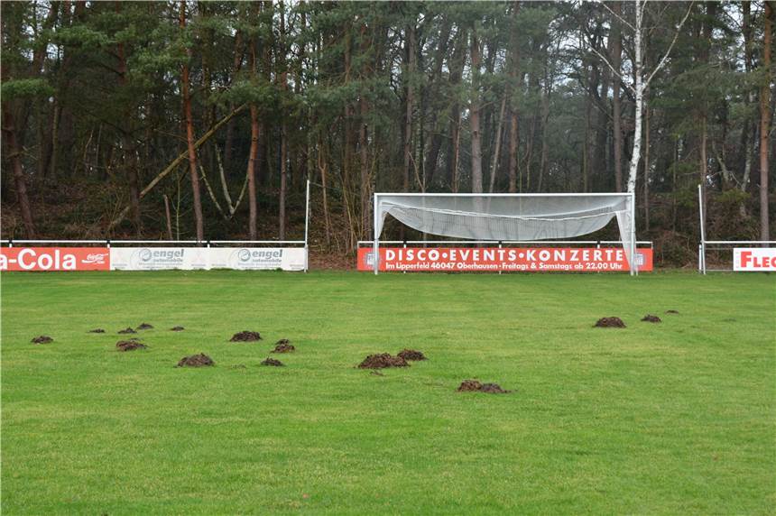 Der gesamte Spiel- und Trainingsbetrieb im Halterner Sport ist vorläufig eingestellt Stillstand wird vorerst nicht nur auf unseren Fußballplätzen, sondern auch in Turnhallen und sonstigen Sportstätten herrschen.