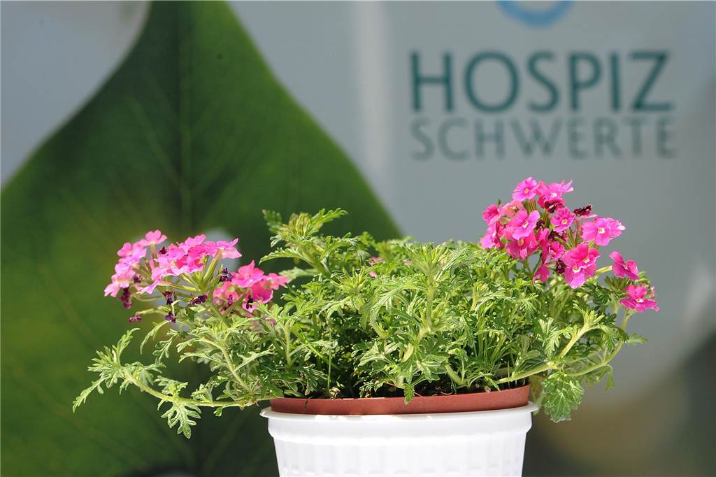 Straßenfest am Hospiz Schwerte