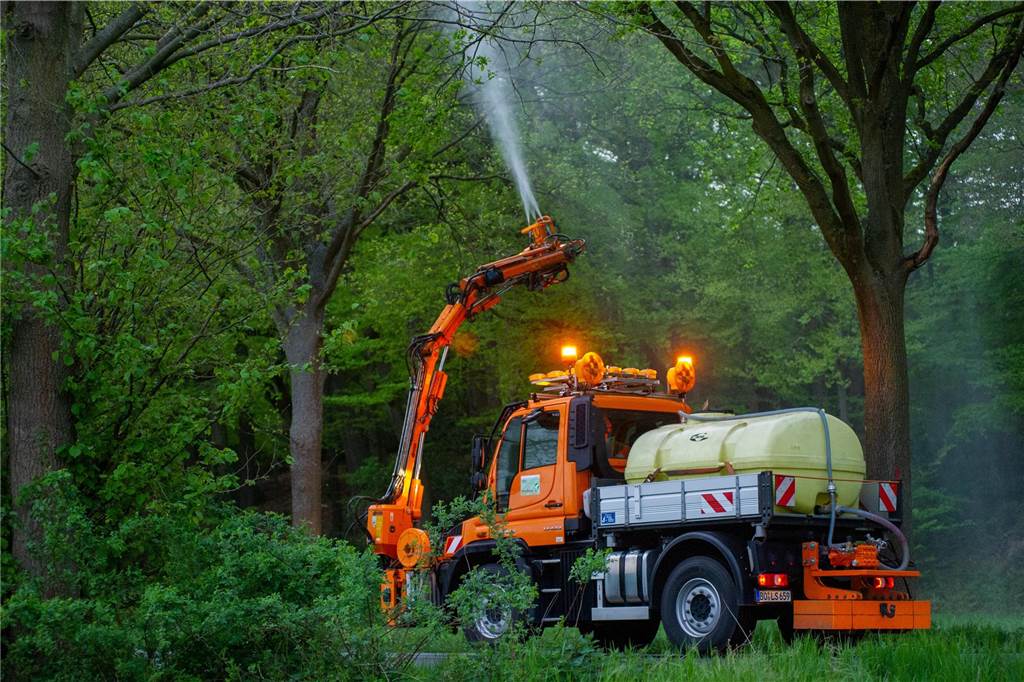 Eichenprozessionsspinner in Dorsten: Zeit für Vorbeugung ist gekommen Straßen.NRW versprüht wieder vorbeugend ein Biozid an den Bundes- und Landesstraßen.
