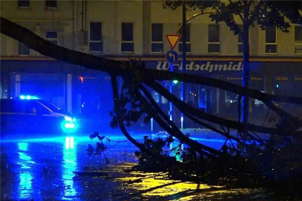 Auswirkungen der Klimakrise auf NRW: Hitze, Flut und gesundheitliche Folgen Umgefallener Baum auf Straße