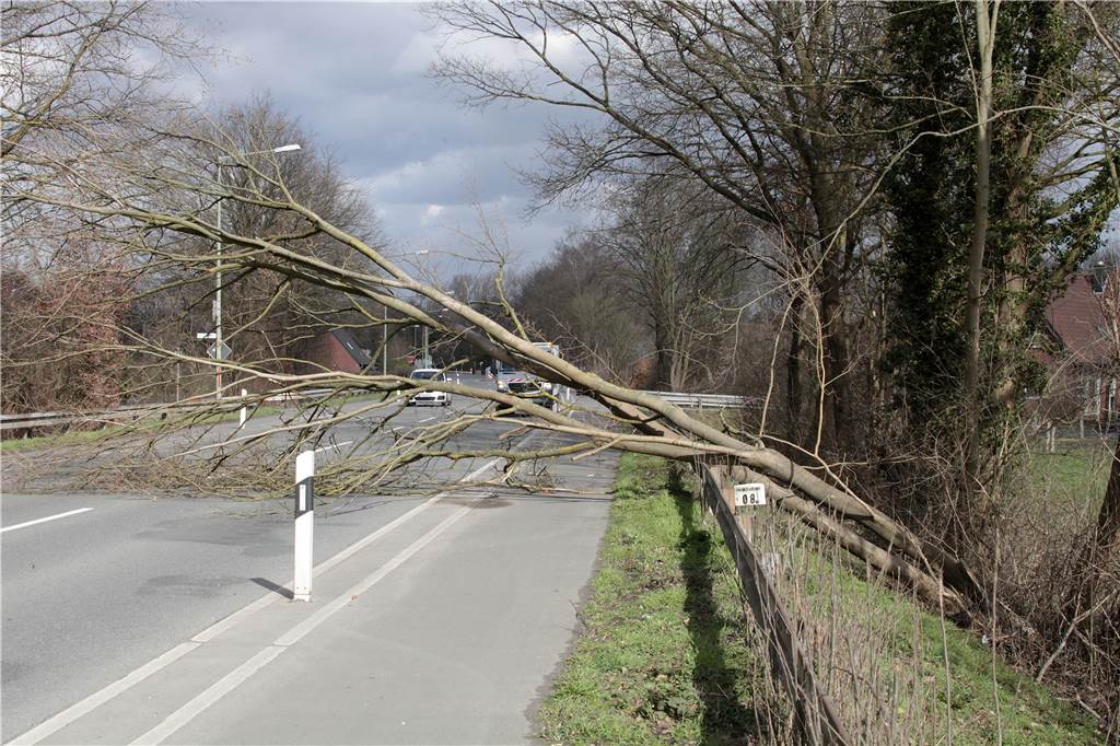 Sturm-Woche: Wetterdienst warnt vor Orkan-Böen in Lünen und Selm Sturmtief Klaus sorgte im März 2021 für Einsätze der Feuerwehr in Lünen. Ein Baum kippte hier auf die Hammer Straße in Beckinghausen.