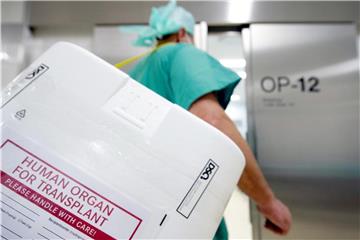 Styropor-Behälter zum Transport von zur Transplantation vorgesehenen Organen. In Deutschland ist die Zahl der Organspender deutlich gestiegen. Foto: Soeren Stache
