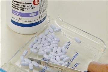 Tabletten die das Opioid Hydrocodon und das Schmerzmittel Acetaminophen (Parazetamol) enthalten. Die Kombination wird in den USA als Vicodin verkauft. Foto: Sue Ogrocki/AP