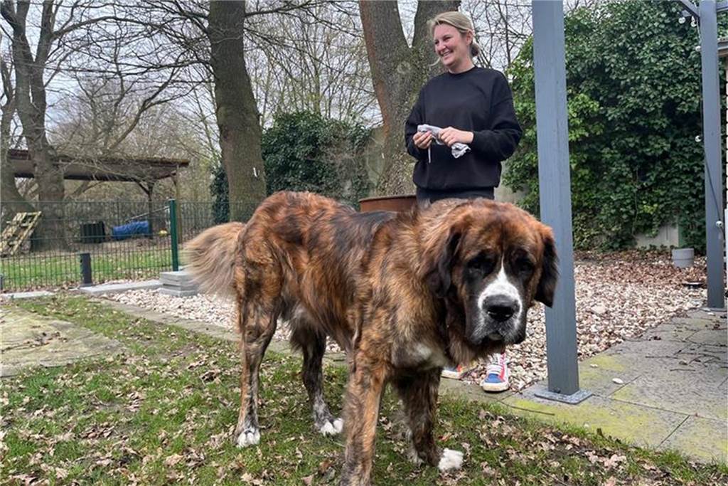 Tanja Nölscher denkt die Mensch-Hund-Beziehung neu Tanja Nölscher mit ihrem Instagram-Star Kalle.