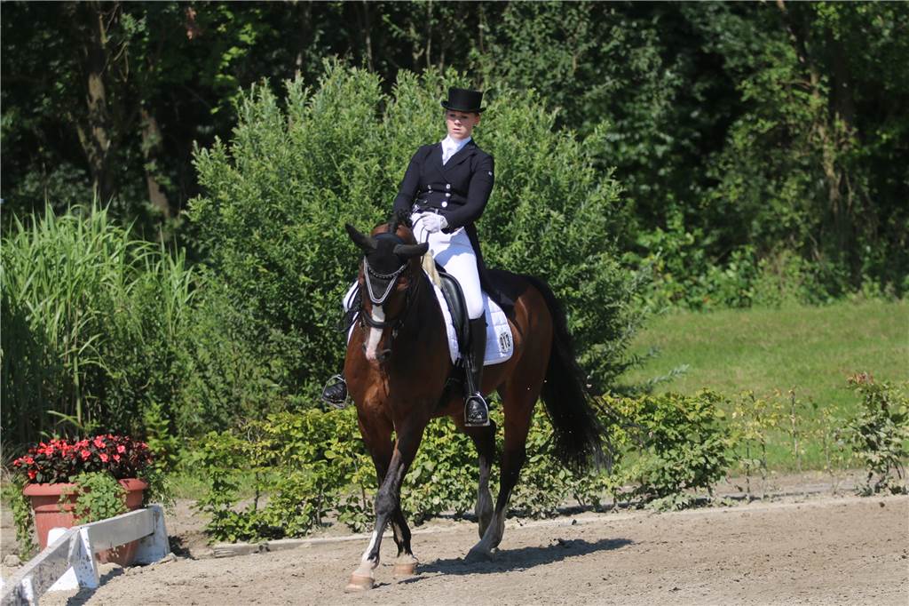 „Reitausbildung in Vinnum funktioniert“: Tatjana Stoff erhält das Goldene Reitabzeichen Tatjana Stoff und Cornelli bei den diesjährigen Vinnumer Reitertagen.