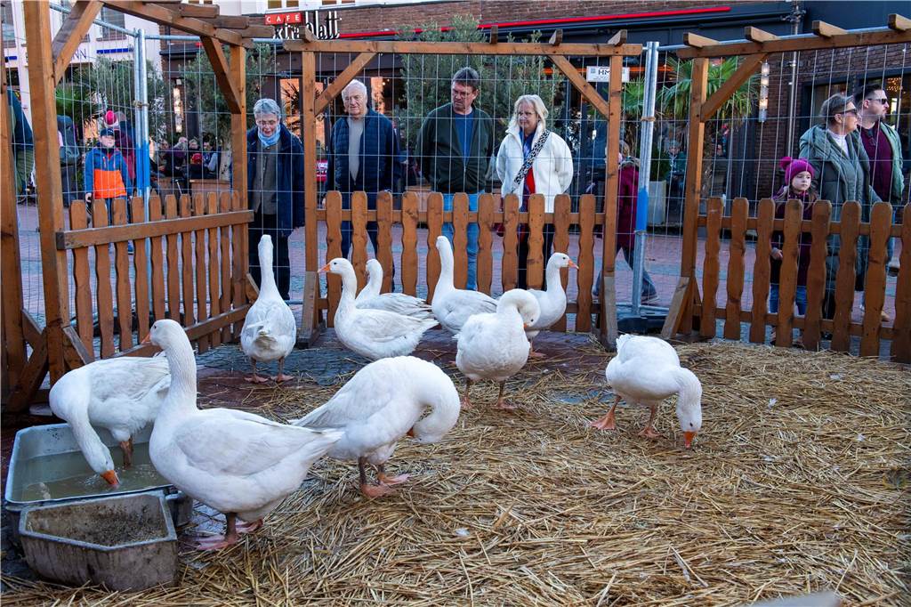 Tausende Besucher kamen am verkaufsoffenen Sonntag in der Halterner Innenstadt. Anlass war der traditionelle Gänsemarkt.