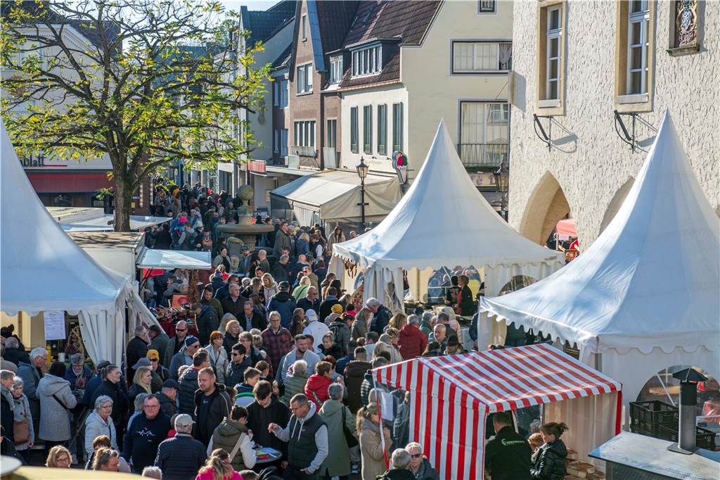 Tausende Besucher kamen am verkaufsoffenen Sonntag in der Halterner Innenstadt. Anlass war der traditionelle Gänsemarkt.