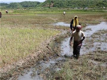 Tausende Rohingyas sind nach Bangladesch geflohen. Foto: Mushfiq Alam