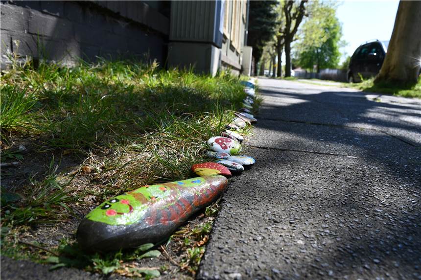 Tausendfüßler Tolli macht gute Laune in der Corona-Krise Tausendfüßler Tolli hat es sich auf der Vördestraße gemütlich gemacht und wartet darauf, mit weiteren Steinen geschmückt zu werden.