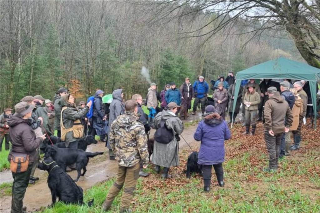 150 „Flat“-Retriever wetteifern bei Trophy am Schloß Lembeck Trophy in Oberfranken