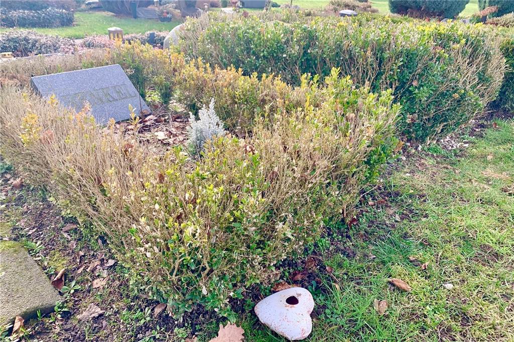 Unbekannte schänden fast 100 Gräber: „Ich kann es immer noch nicht fassen“ Teilweise liegt der Grabschmuck noch auf den Rasenflächen.