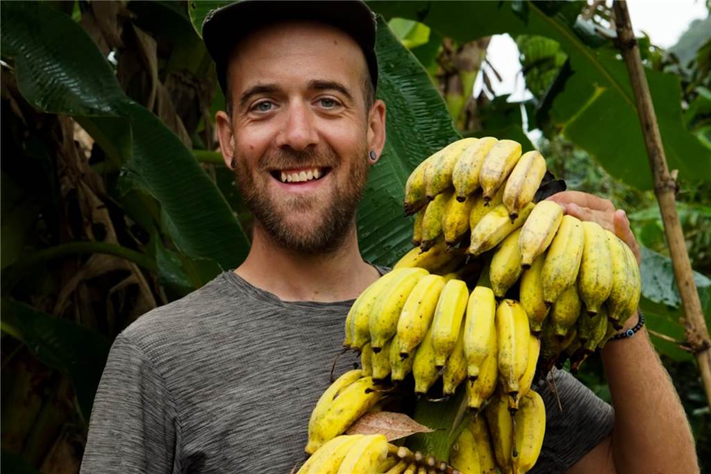 Thailand - für Henning geht ein Traum in Erfüllung. Einmal selbst Bananen in der Wildnis ernten