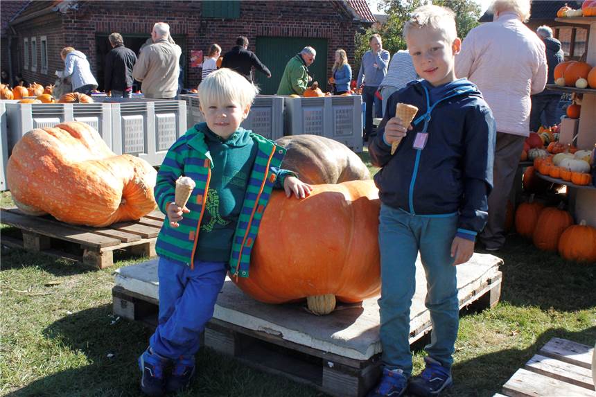 Theo (r.) und Justus bestaunen die Riesenkürbisse der diesjährigen Ernte.