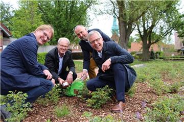 Thomas Lefering, Friedhelm Kleweken, Karl-Heinz Terbrack und Bürgermeister Felix Büter pflanzten zwei „Zukunftsland“-Dahlien.