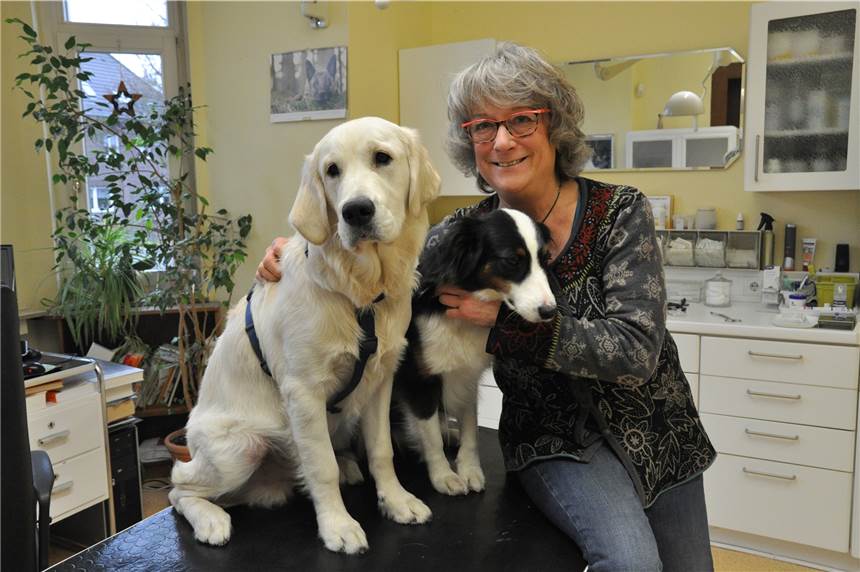 Jury zeichnet Verein DoDogs für die Arbeit mit Wohnungslosen und ihren Tieren aus Tierärztin Dr. Barbara Seibert mit zwei Praxishunden. Mit ihrer Kollegin hat sie den Verein "DoDogs" gegründet, der nun 2020 den Heinrich-Bußmann-Preis bekommt.