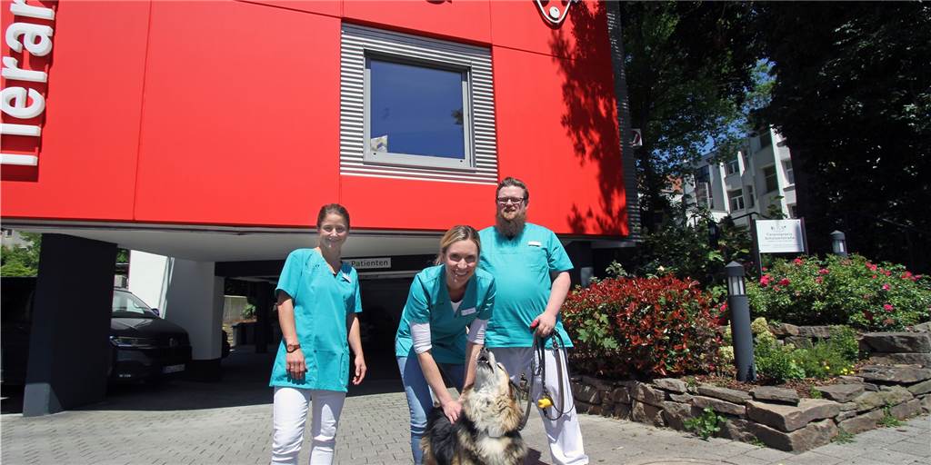 Ehemalige Tierarztpraxis von Dr. Wolf eröffnet wieder unter neuer Leitung Tierärztin Isabel Bernsmann (v.l.), Praxisinhaberin Dr. Bea Löhr und Tierarzt Christoph Tenhaven sind jetzt in der Schützenstraße in der ehemalien Praxis von Dr. Wolf tätig. Hund Chicco war aber nicht als Patient in der Praxis zu Gast.