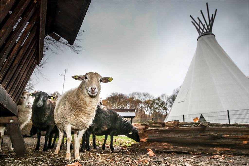Riesige Spiel-Landschaft mit viel Grün, Wasser und Geschichte im Video-Check Tiergehege und das Riesen-Indianerzelt Big Tipi gehören zur Erlebniswelt Fredenbaum.