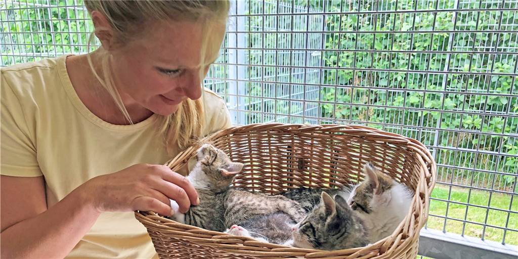 Auch Hofkatzen in Ahaus müssen kastriert und gechipt werden Tierheim-Betreiberin und Tierschützerin Julia Rehermann hofft, dass sich immer mehr Menschen vom Nutzen der Katzenschutzverordnung überzeugen lassen.