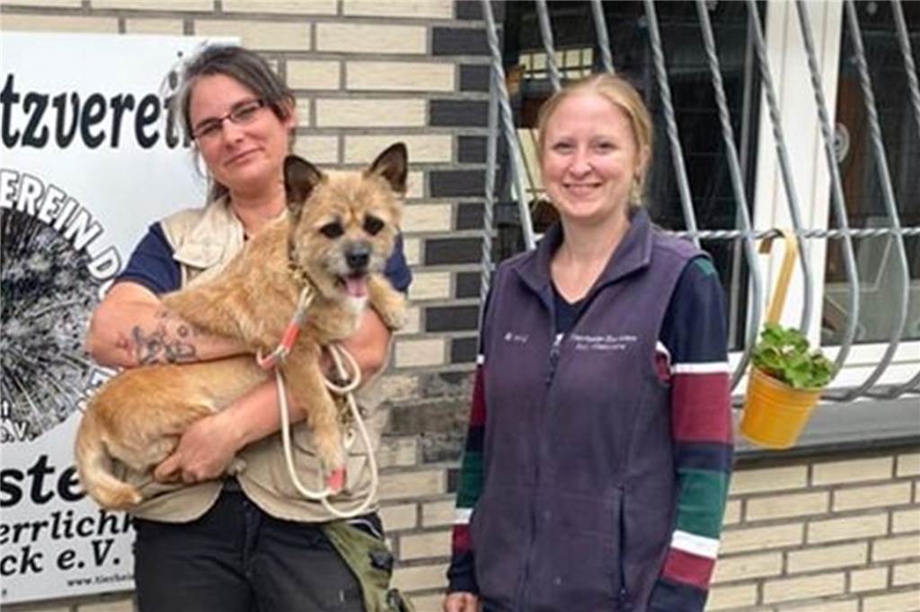 Der Wunsch nach einem Hundewelpen: Menschen sind „im Kaufrausch“ Tierheim-Leiterin Annika Niemann und Marina Hinz (Vorstandsteam des Tierschutzvereins) vermitteln über Weihnachten grundsätzlich keine Tiere.