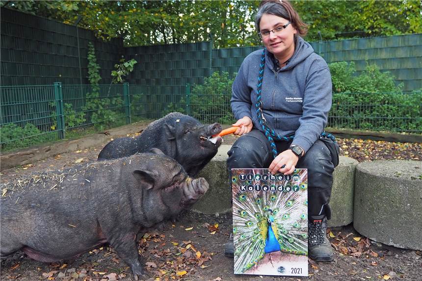 Tierschützer sind solidarisch: Tierheimkalender gegen Spende zu haben Tierheimleiterin Annika Niemann stellt mit Ruth und Pumba den neuen Tierheimkalender vor.