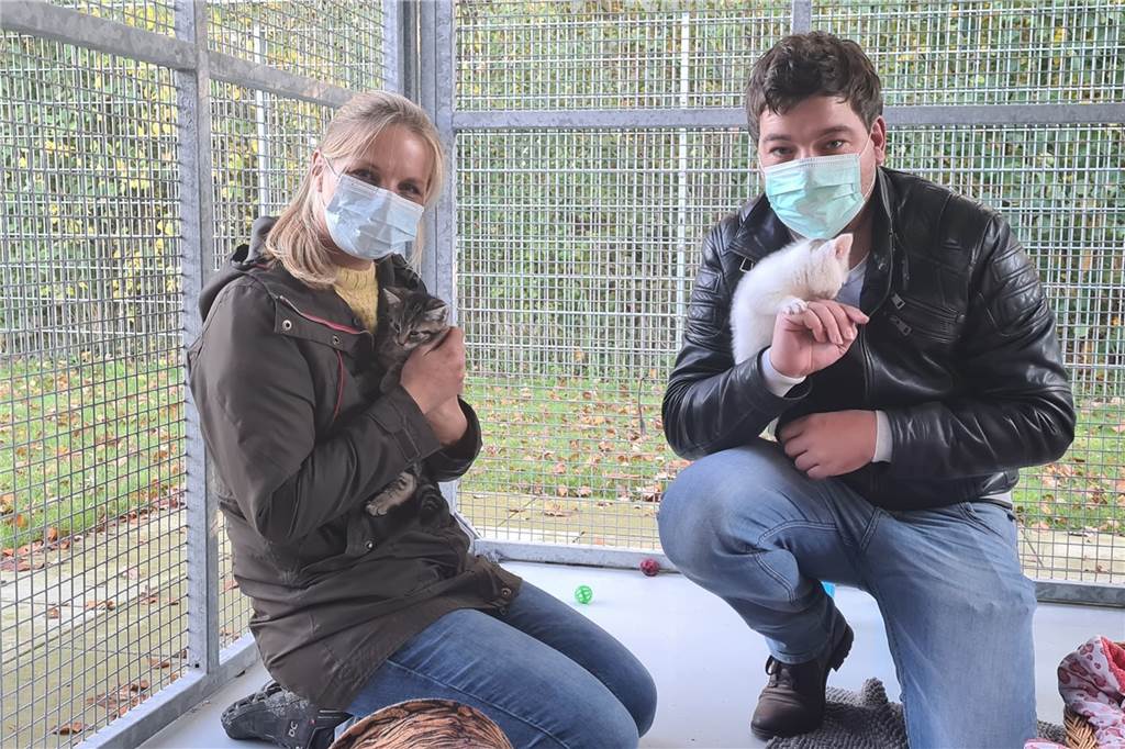 Corona-Pandemie für Julias Tierheim Herausforderung und Chance zugleich Tierheimleiterin Julia Rehermann hat Redakteur Till Goerke durch das Tierheim geführt. Die Katzen Champ (r.) und Cairo sind erfreulicherweise bereits vermittelt worden.