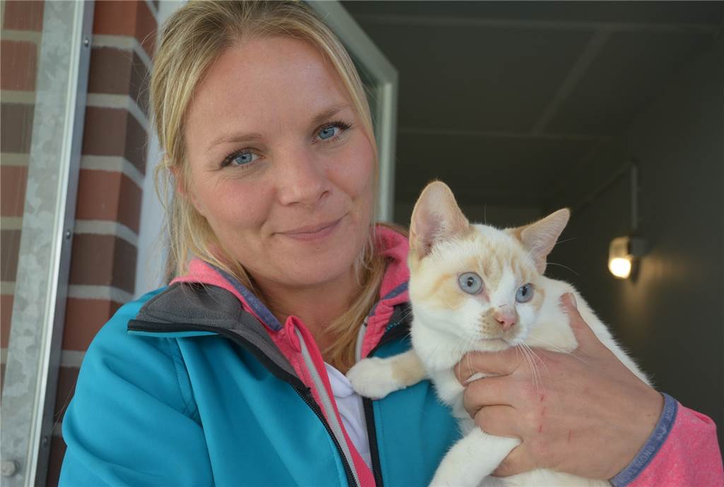 In Julias Tierheim wird täglich gegen das Katzenelend gekämpft Tierheimleiterin Julia Rehermann mit dem fünf Monate alten"Percy", der ein neues Zuhause sucht.