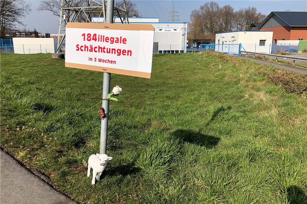 Tierquälerei und Raffgier: Die größten Skandale des Jahres im Kreis Unna Tierschützer hatten nach der Schließung des Schlachthofes Prott in Selm dieses Schild vor dem Gelände angebracht.